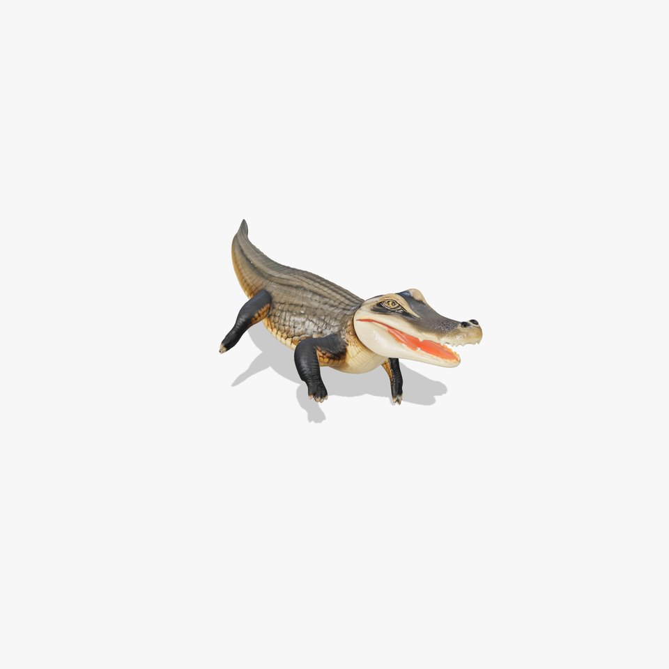 Alligator Broad Snout Realistic Sculpture model pack
